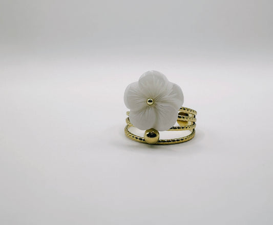 Bague NACERA